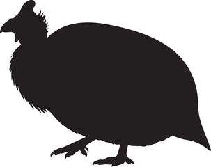 Helmeted Guineafowl Vector Silhouette