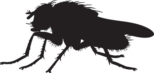 Hessian Fly Vector Silhouette