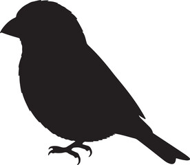 House Finch Vector Silhouette