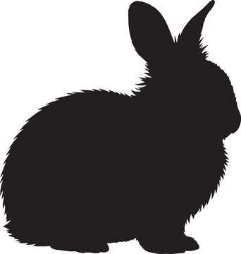 Angora Rabbit &ndash; Solid Black Silhouette and Outline Vector Set