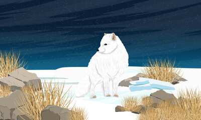 Arctic fox standing on a snowy northern plain on a winter night. Realistic vector landscape