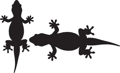 Indian Golden Gecko Vector Silhouette