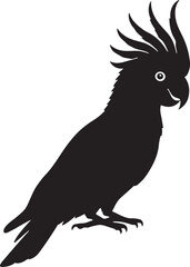 Cockatoo – Solid Black Silhouette and Outline Vector Set