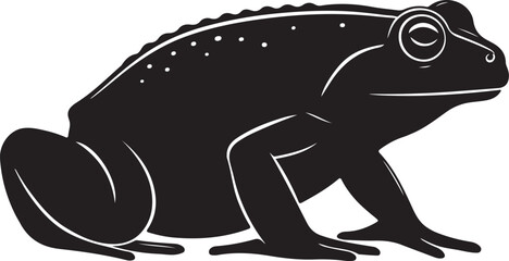 Desert Rain Frog – Solid Black Silhouette and Outline Vector Set