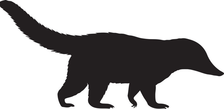 Coati &ndash; Solid Black Silhouette and Outline Vector Set