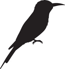 European Bee-Eater – Solid Black Silhouette and Outline Vector Set