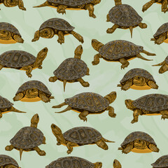 Seamless pattern with European pond turtle Emys orbicularis. European pond terrapin or European pond tortoise. Realistic vector reptile