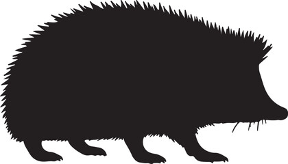 Hedgehog Silhouette © Digital Dreams Studi