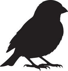 House Sparrow Silhouette