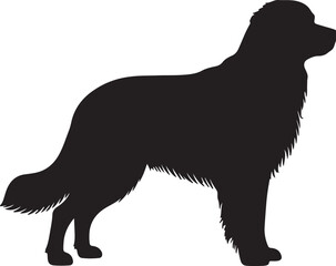Hovawart Silhouette
