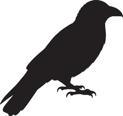Jungle Crow Silhouette