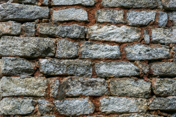 An ancient stone wall in the forest