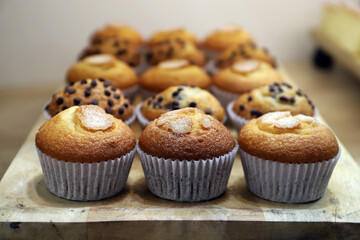 magdalenas caseras de azúcar, y pepitas de chocolate