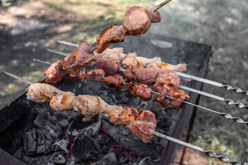 Grilling Skewered Meat Over Charcoal in an Outdoor Setting During a Sunny Day