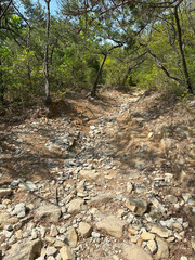 Rocky hiking trail with rugged mood, challenging natural path through forest on Jangsan Mountain,...