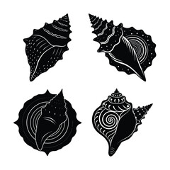 Seashell Silhouette bundle Spiral on White Background	
