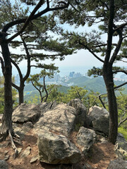 Rocky mountain viewpoint with tranquil mood, overlooking cityscape and ocean through pine trees on Jangsan Mountain, Busan, South Korea