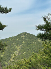 Lush green mountain peak with uplifting mood, surrounded by pine branches under blue sky on Jangsan Mountain, Busan, South Korea