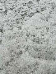 Snow-covered ice surface in textured style, white and light gray tones, representing winter landscape and seasonal frost