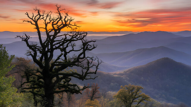 Silhouette of a bare tree against a mountain range at sunset with orange and purple sky above the hills - Powered by Adobe