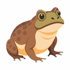 Burrowing Frog Vector on White