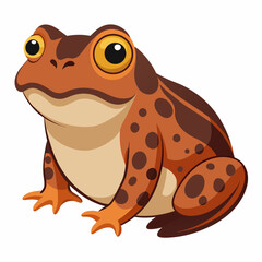 Burrowing Frog Vector on White
