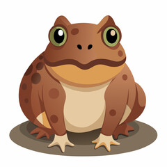 Burrowing Frog Vector on White