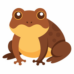 Burrowing Frog Vector on White