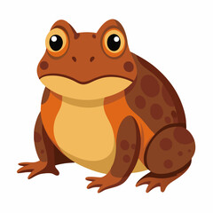 Burrowing Frog Vector on White