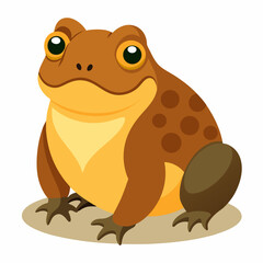 Burrowing Frog Vector on White