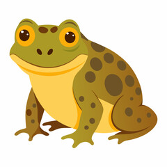 Burrowing Frog Vector on White
