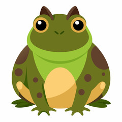 Burrowing Frog Vector on White