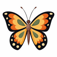 Minimal Butterfly Vector on White