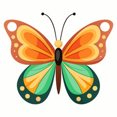 Minimal Butterfly Vector on White