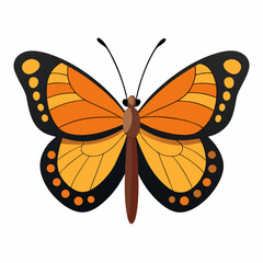 Minimal Butterfly Vector on White