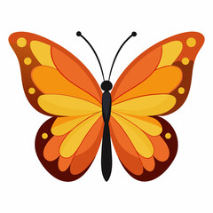 Minimal Butterfly Vector on White