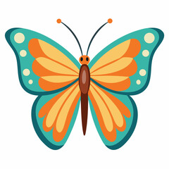 Minimal Butterfly Vector on White