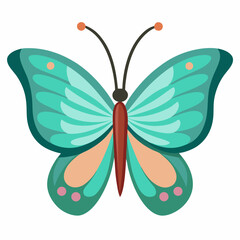 Minimal Butterfly Vector on White