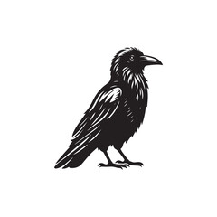 Crow Vector (1).eps