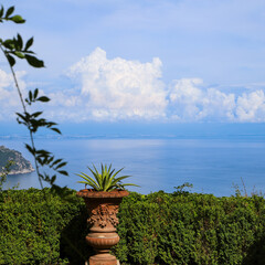 Garden with view