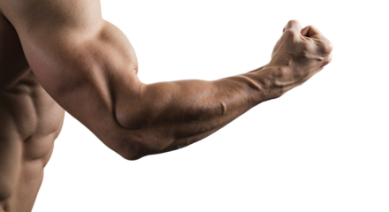 Strong male arm flexing against a transparent background  