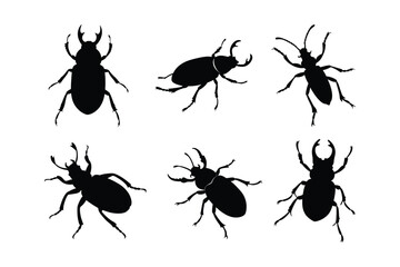 Beetle silhouette vector bundle  illustration