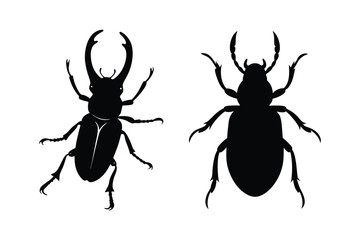 Beetle silhouette vector bundle  illustration