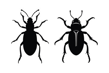 Beetle silhouette vector bundle  illustration