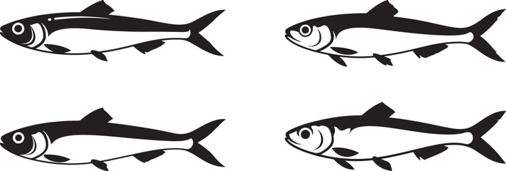Obraz premium Anchovy Fish icon vector illustration