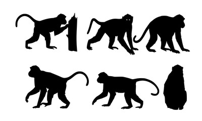 Set Bundle of Engaging Line Art Illustrations Featuring Monkey Silhouettes in Diverse Poses for Educational and Creative Projects