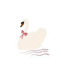 Swan illustration