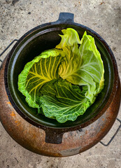 Preparing a dish in a cauldron - step by step.