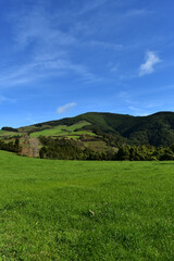 Obraz premium Beautiful View of a Green Lush Countryside Landscape
