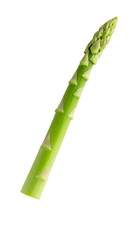 asparagus